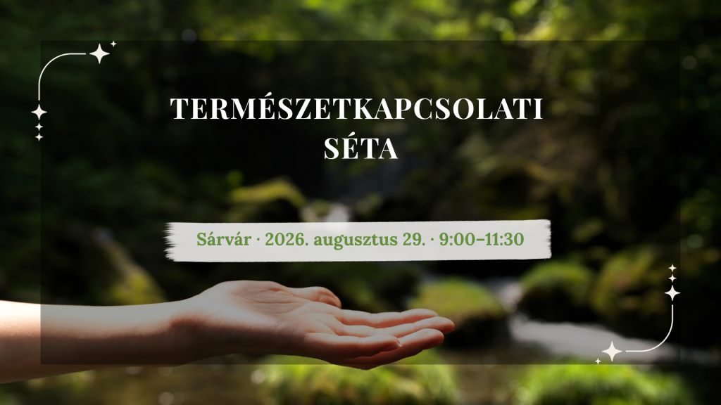 Nyitott tenyér egy napfényes erdei patak fölött – Természetkapcsolati séta, Sárvár, 2026. augusztus 29.