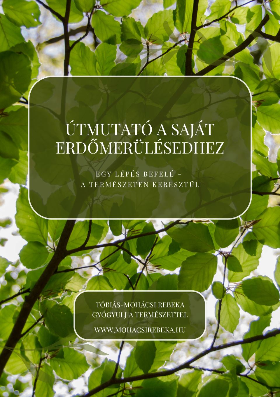 Az Útmutató a saját erdőmerülésedhez munkafüzet borítója