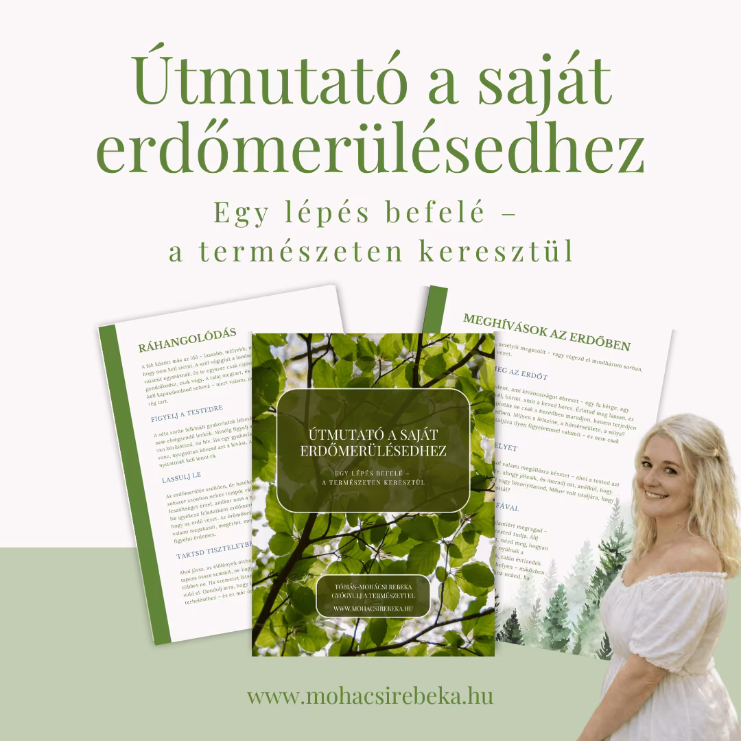 Az Útmutató a saját erdőmerülésedhez munkafüzet borítója